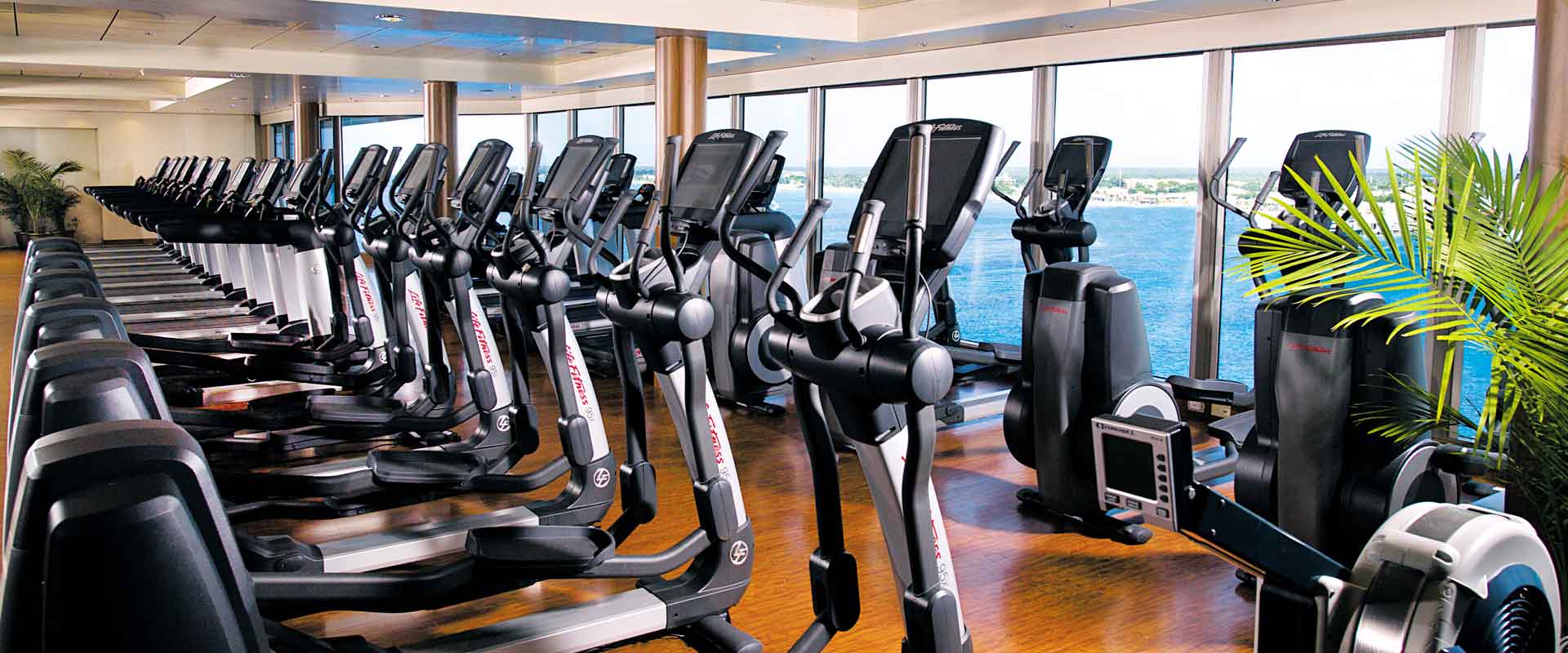 Gym and Fitness Equipment Leasing